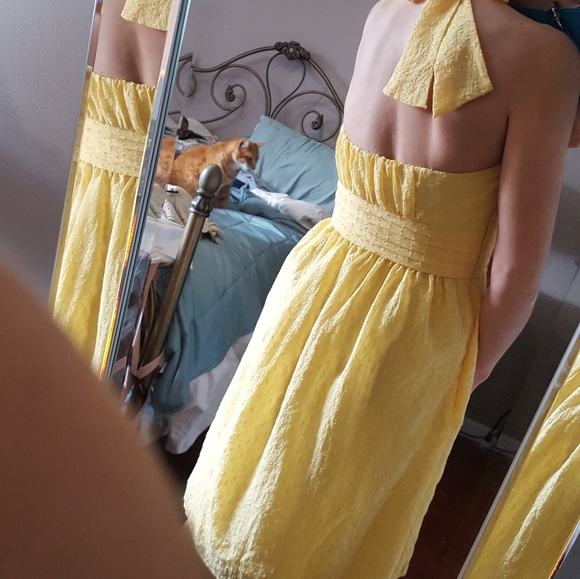Yellow BCBG Paris Dress - Picture 7 of 8